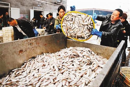 3月16日,人们在浙江省舟山市沈家门一水产品批发市场进行南沙水产品